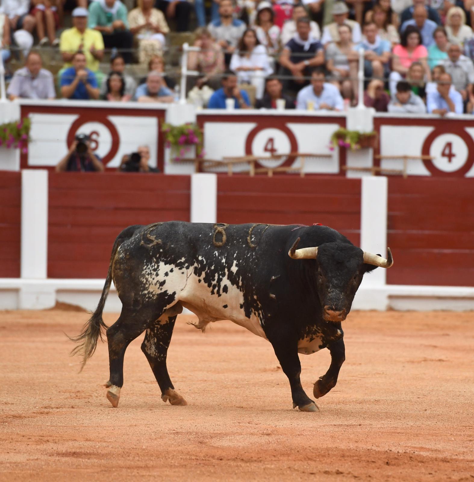 Gijón, miércoles 14 de agosto de 2019