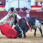 Almendralejo, jueves 15 de agosto de 2019