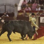 Almendralejo, jueves 15 de agosto de 2019