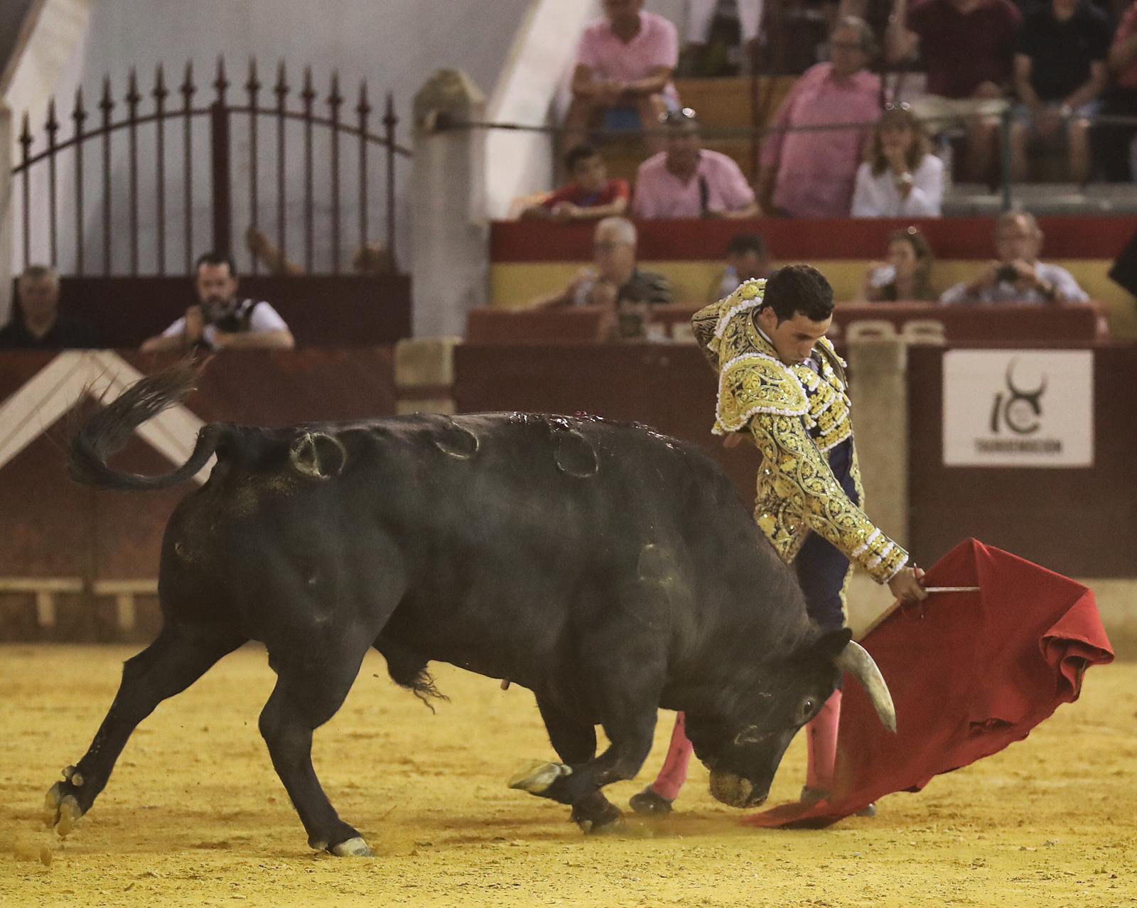 Almendralejo, jueves 15 de agosto de 2019