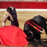 Vitigudino (Salamanca), viernes 16 de agosto de 2019.