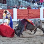 Vitigudino (Salamanca), viernes 16 de agosto de 2019.