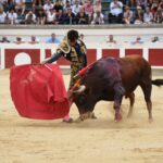 Beziers, domingo 18 de agosto de 2019. Novillada matinal