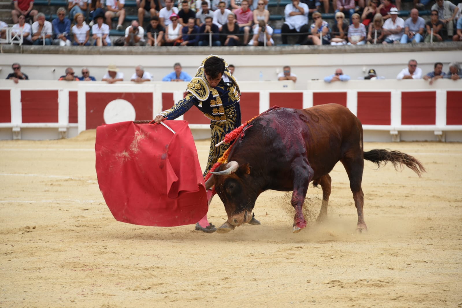 Beziers, domingo 18 de agosto de 2019. Novillada matinal
