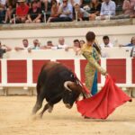 Beziers, domingo 18 de agosto de 2019. Novillada matinal