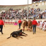 Beziers, domingo 18 de agosto de 2019. Novillada matinal