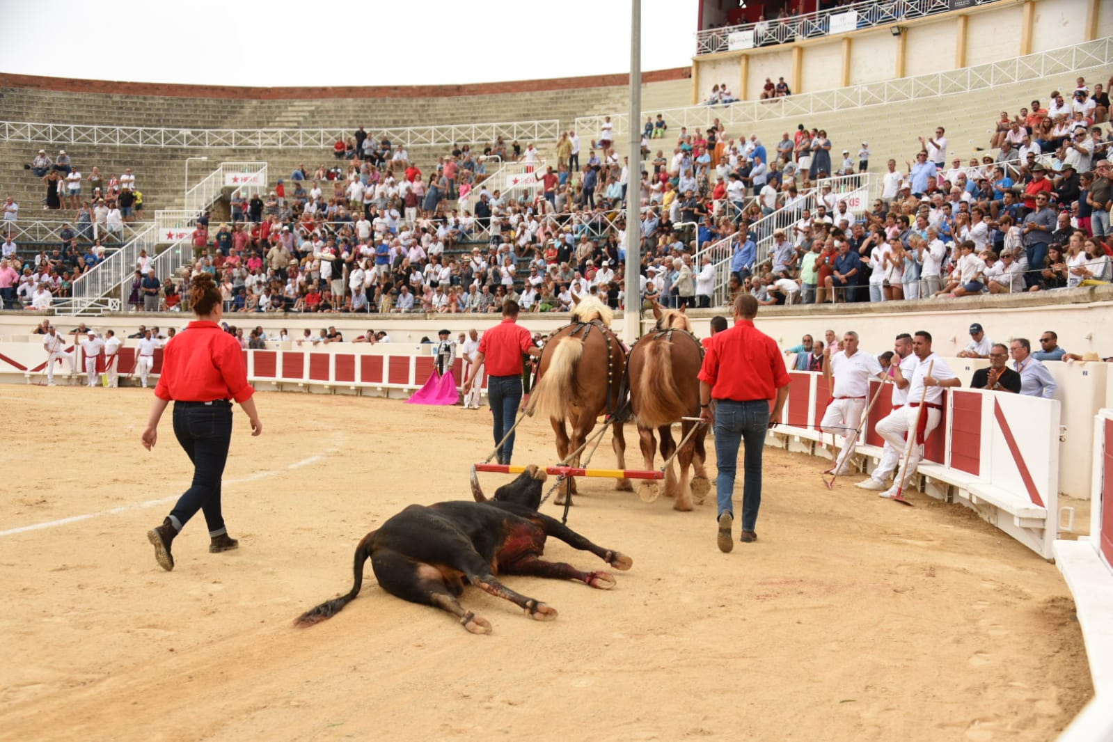 Beziers, domingo 18 de agosto de 2019. Novillada matinal