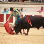 Beziers, domingo 18 de agosto de 2019. Novillada matinal