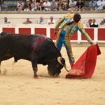Beziers, domingo 18 de agosto de 2019. Novillada matinal