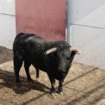 Sorteo. Málaga, domingo 18 de agosto de 2019