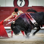Madrid, domingo 11 de agosto de 2019