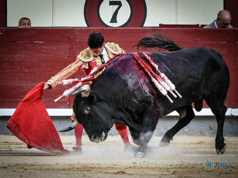 Madrid, domingo 11 de agosto de 2019