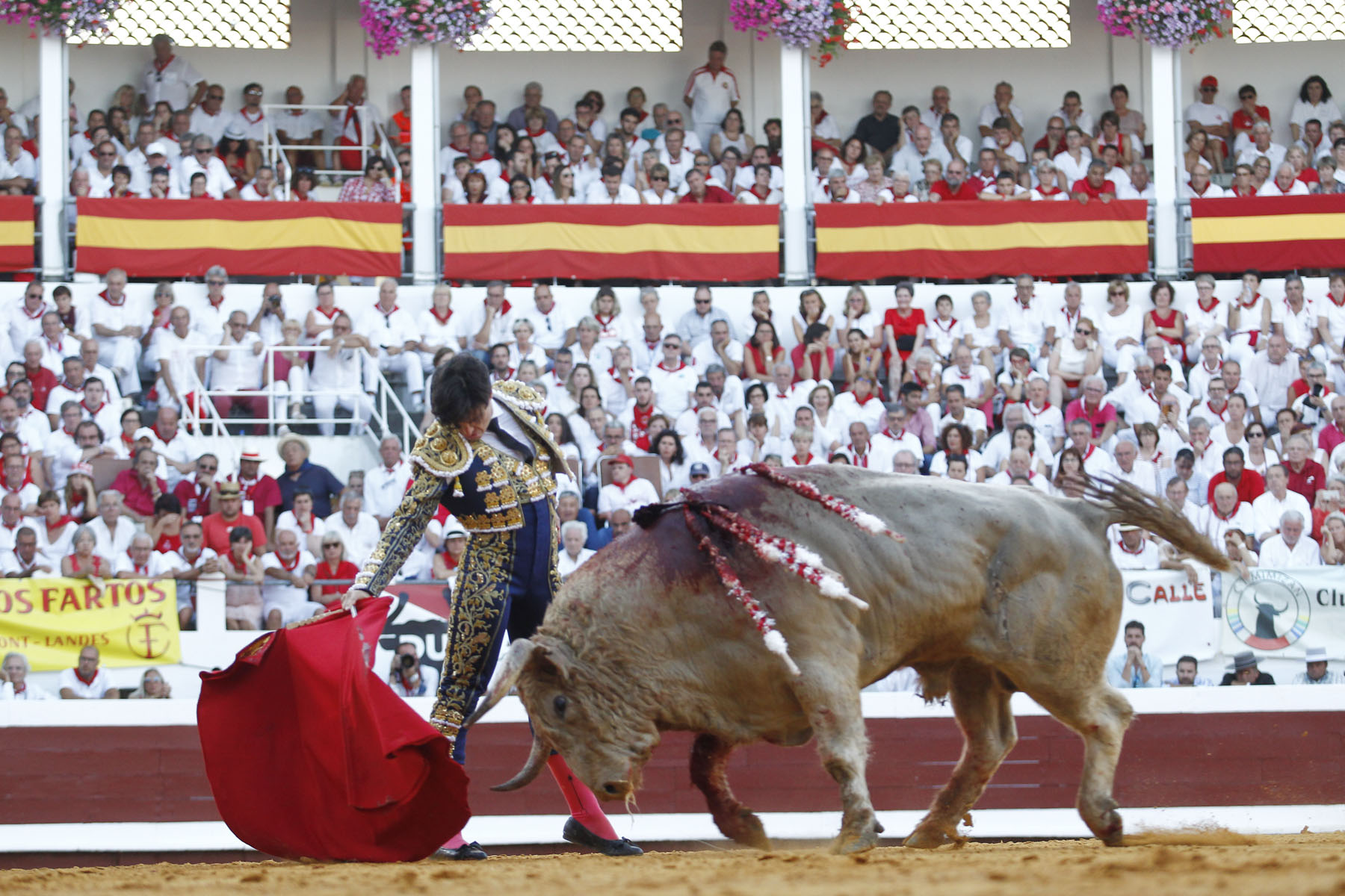 Dax, viernes 16 de agosto de 2019.