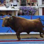 Bayona, miércoles 14 de agosto de 2019