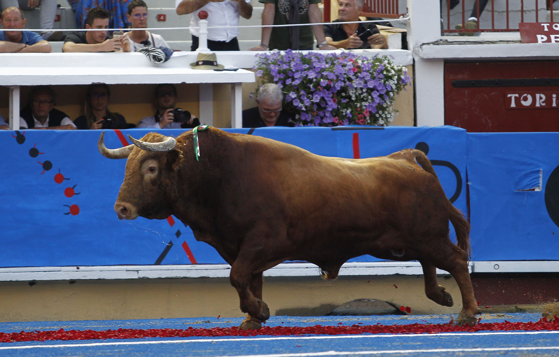 Bayona, miércoles 14 de agosto de 2019