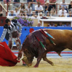 Bayona, miércoles 14 de agosto de 2019