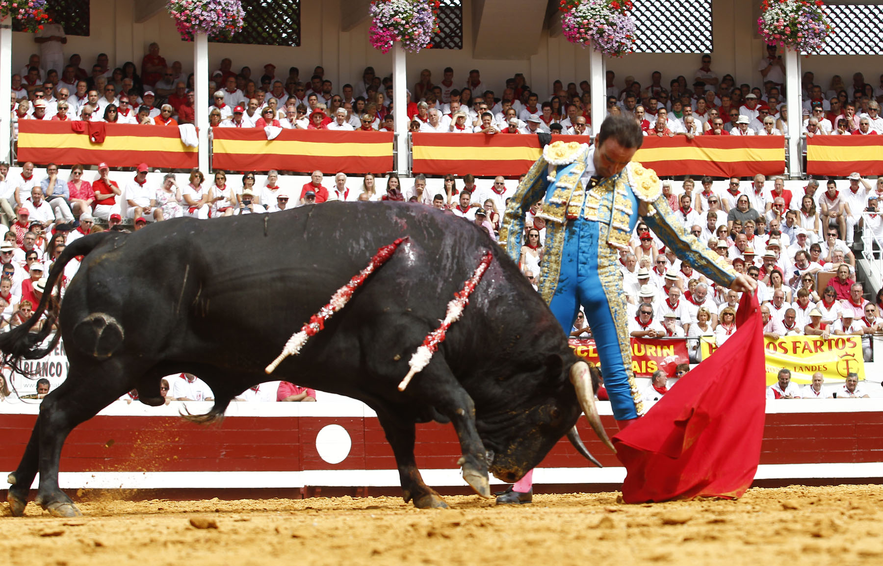 dax, jueves 15 de agosto de 2019. Matinal