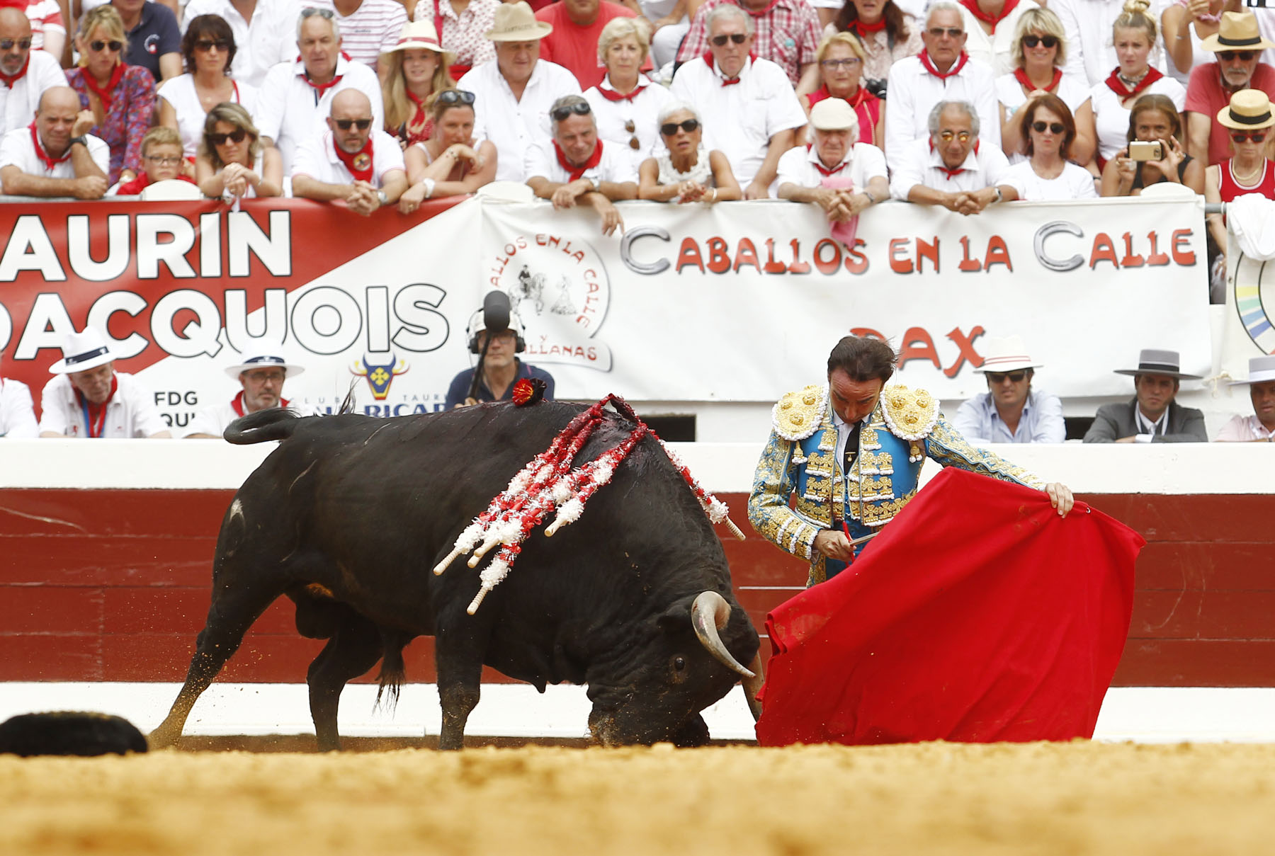 dax, jueves 15 de agosto de 2019. Matinal