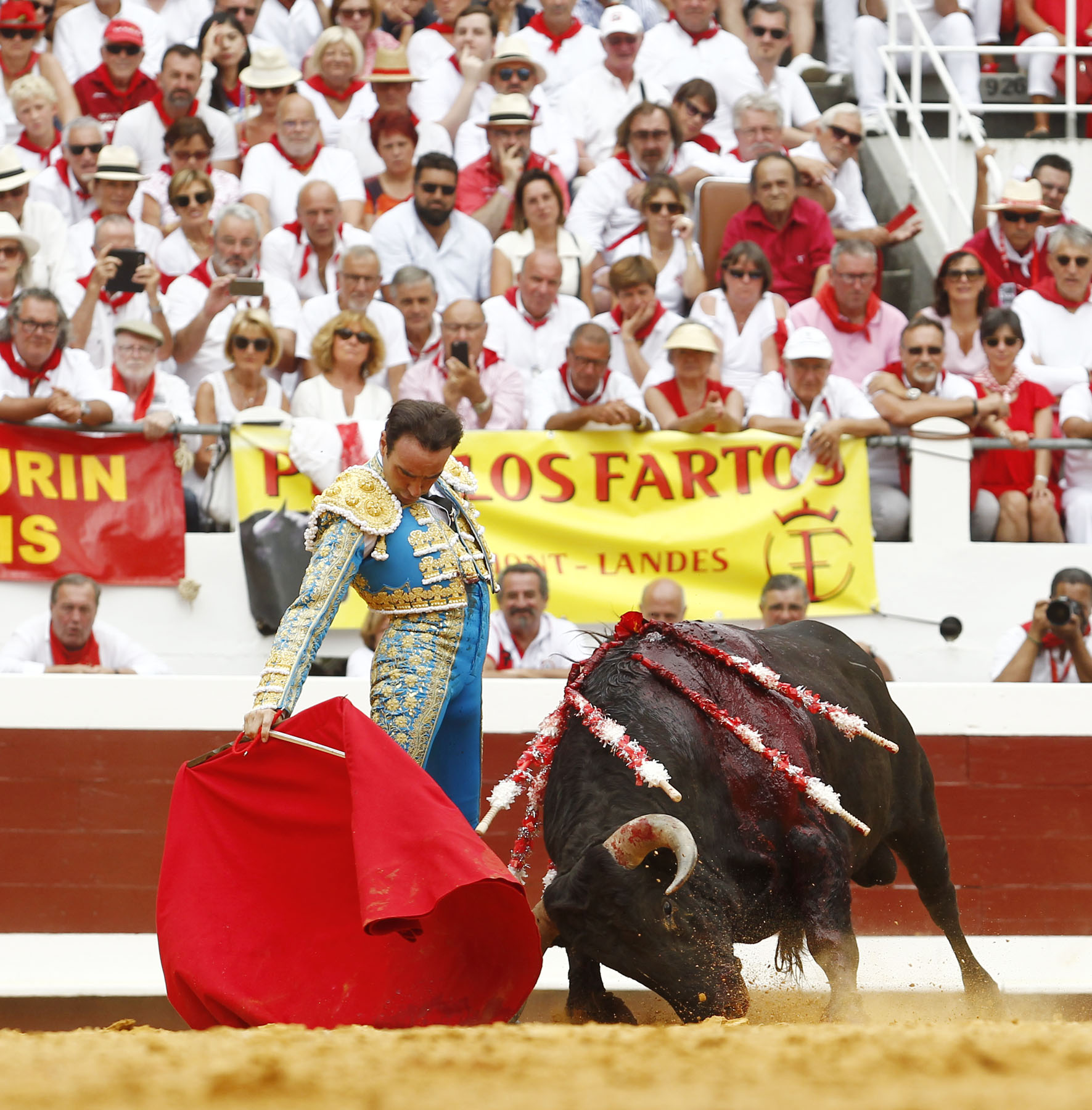 dax, jueves 15 de agosto de 2019. Matinal