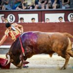 Madrid, domingo 11 de agosto de 2019