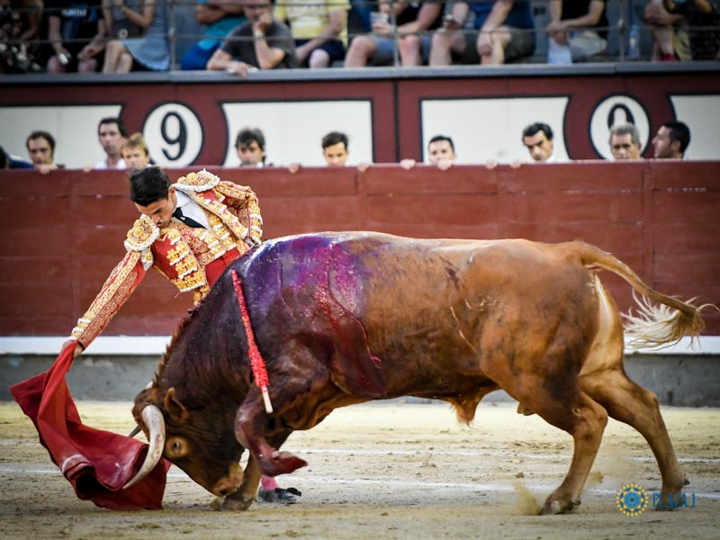 Madrid, domingo 11 de agosto de 2019