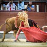 Madrid, domingo 11 de agosto de 2019