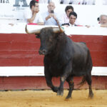 Dax, jueves 15 de agosto de 2019. Tarde