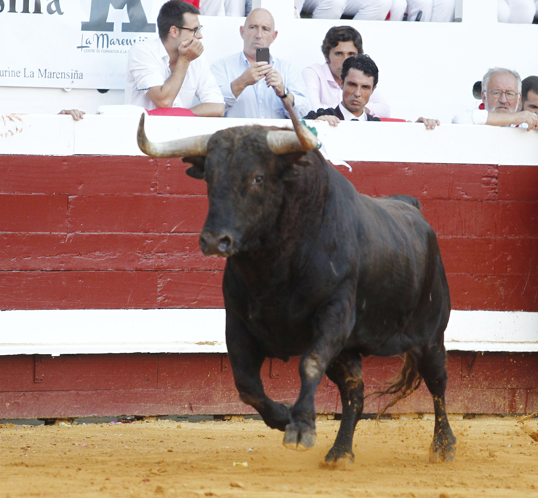Dax, jueves 15 de agosto de 2019. Tarde