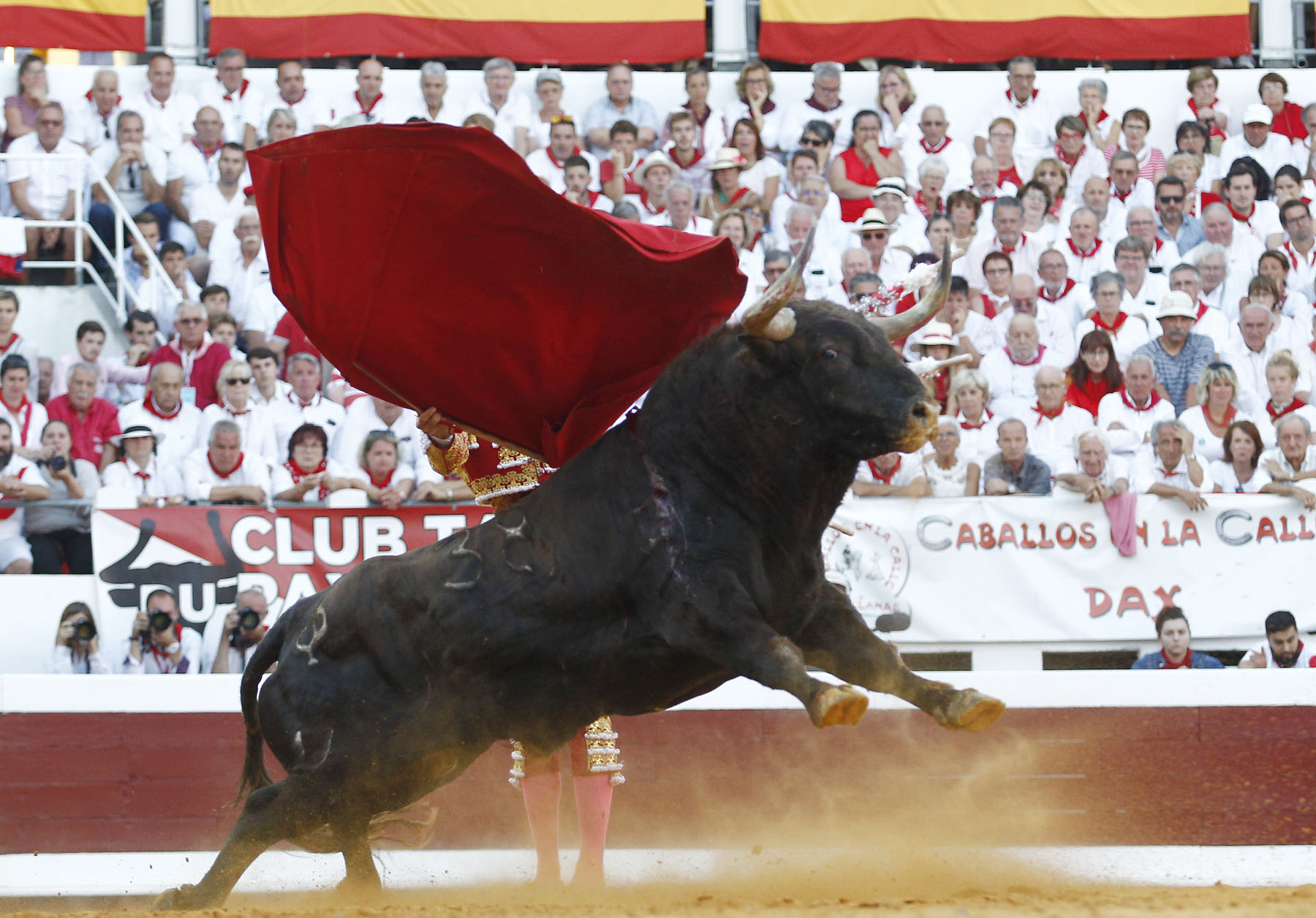 Dax, jueves 15 de agosto de 2019. Tarde