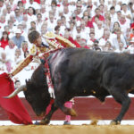 Dax, jueves 15 de agosto de 2019. Tarde