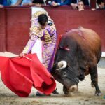 Madrid, domingo 11 de agosto de 2019