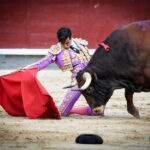 Madrid, domingo 11 de agosto de 2019