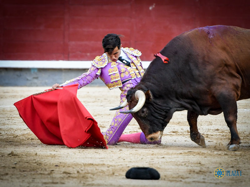 Madrid, domingo 11 de agosto de 2019