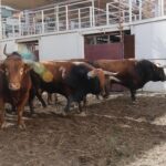 Sorteo. Málaga, domingo 18 de agosto de 2019