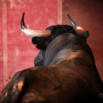 Sorteo. San Sebastián, jueves 15 de agosto de 2019