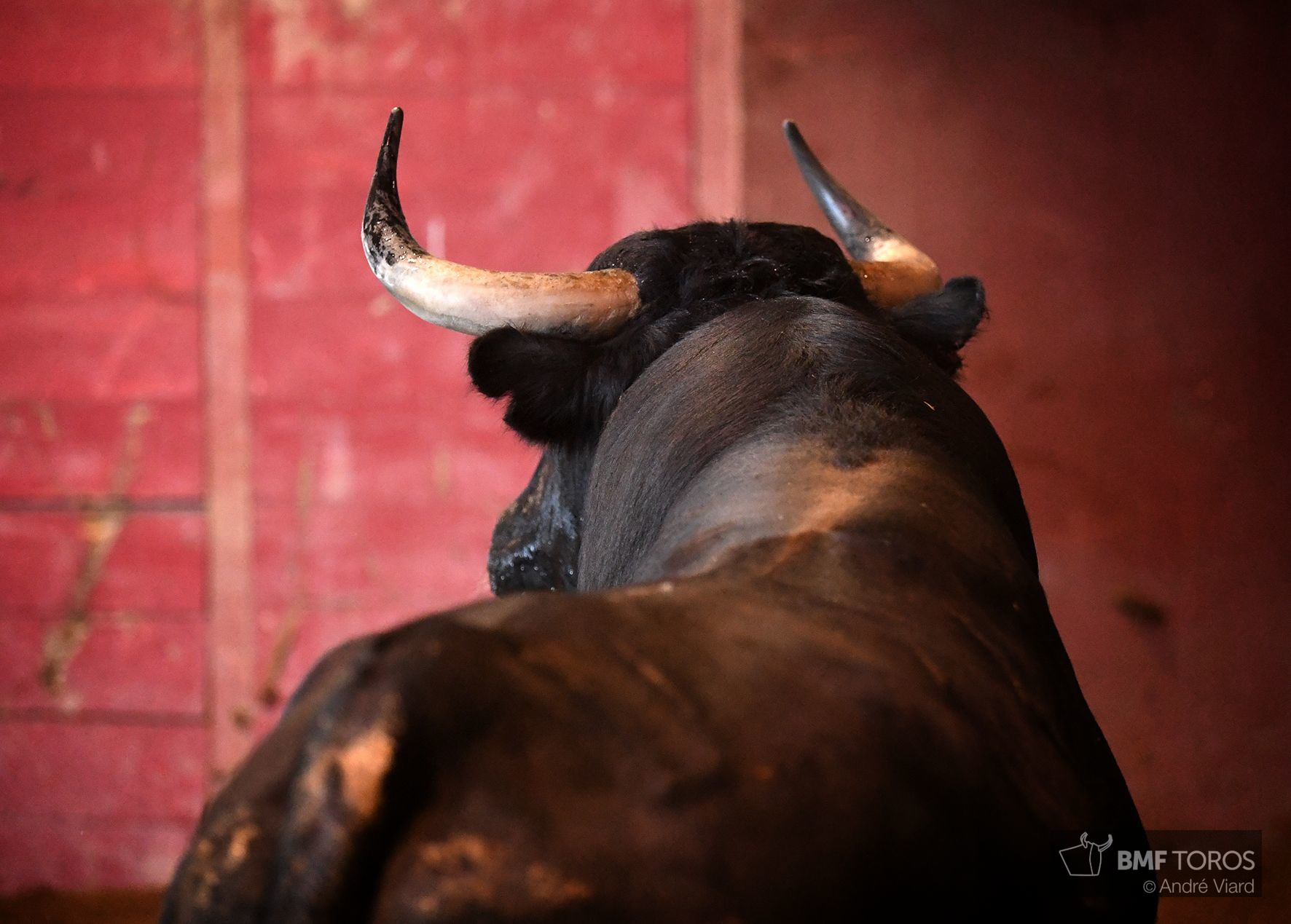 Sorteo. San Sebastián, jueves 15 de agosto de 2019