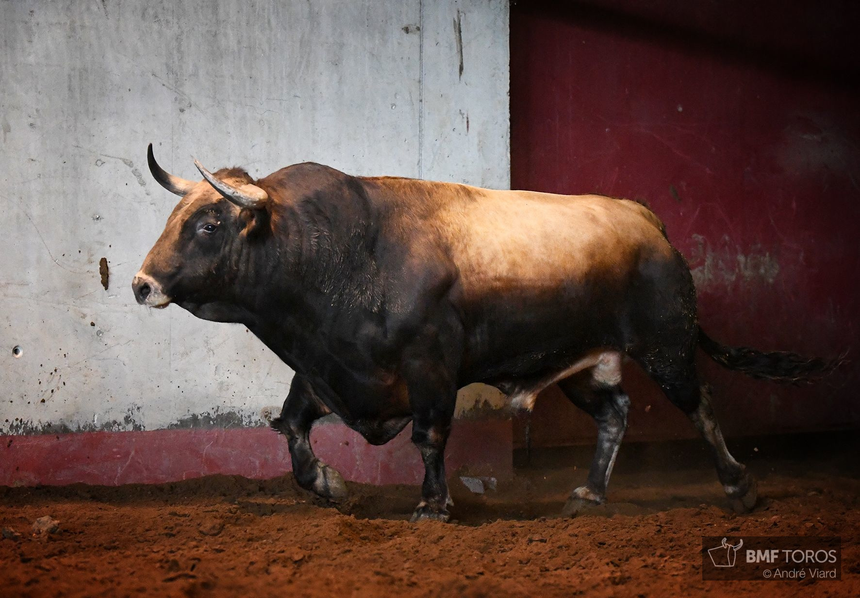 Sorteo. San Sebastián, jueves 15 de agosto de 2019