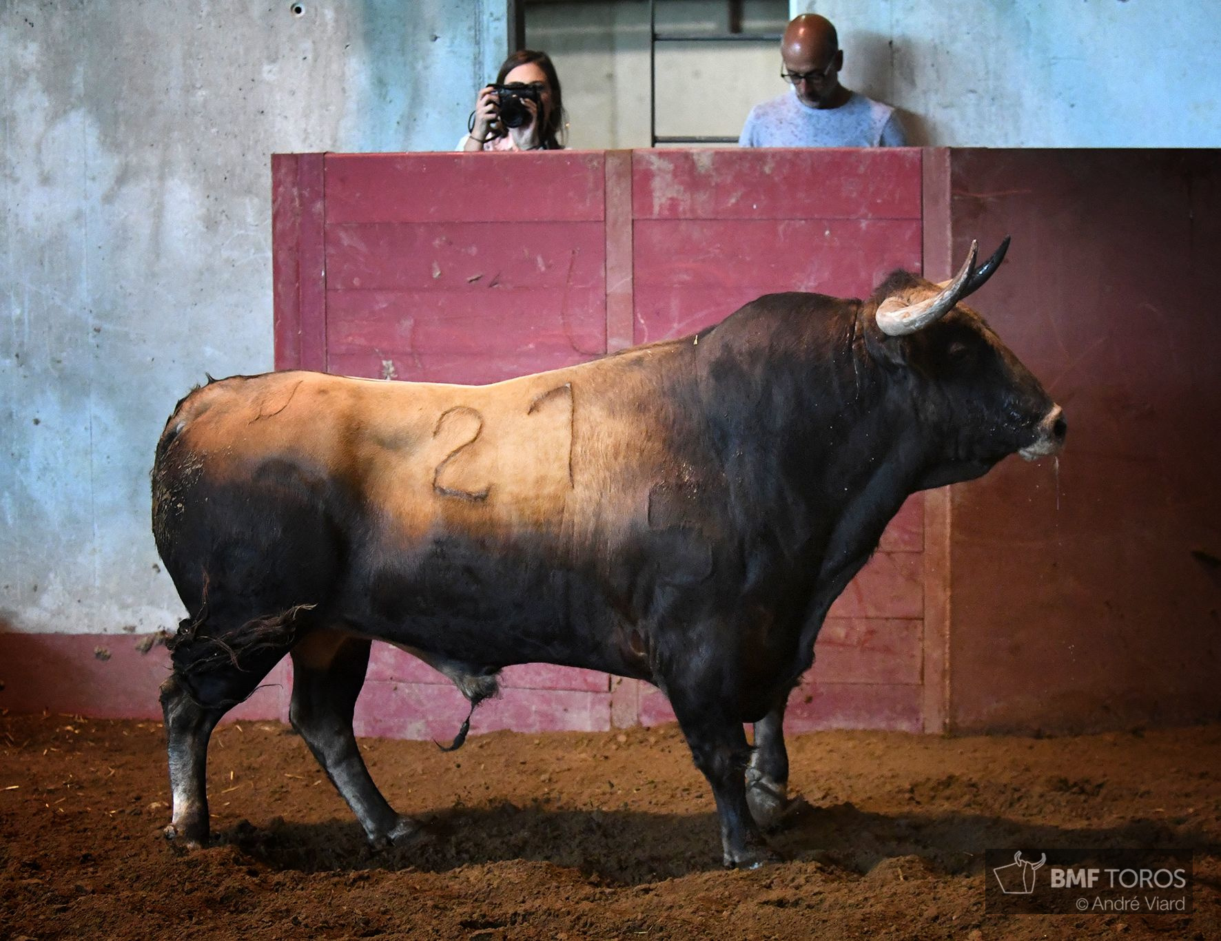 Sorteo. San Sebastián, jueves 15 de agosto de 2019