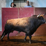 Sorteo. San Sebastián, jueves 15 de agosto de 2019