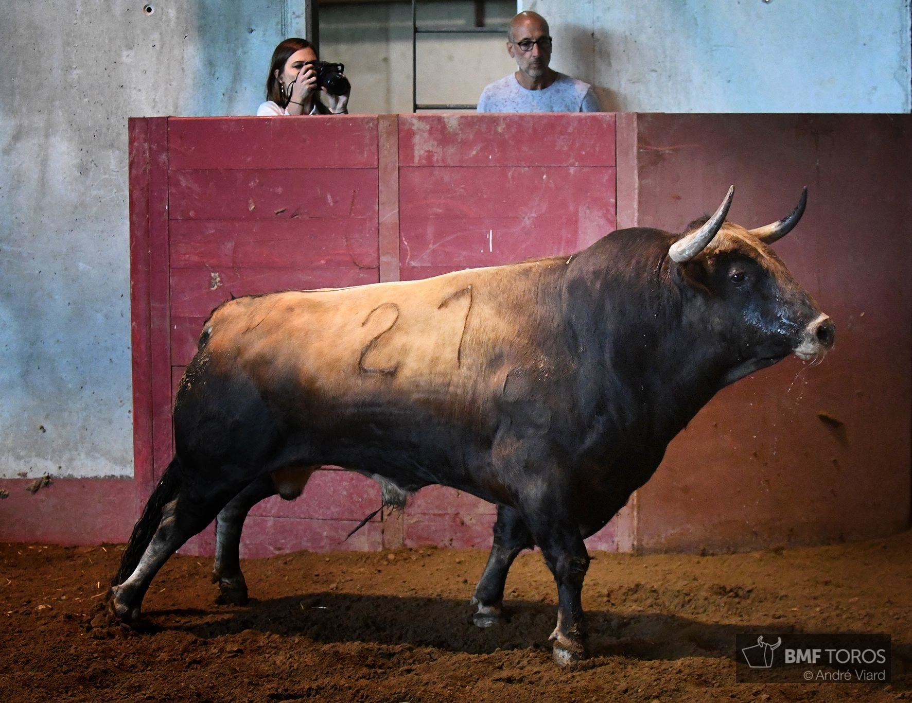 Sorteo. San Sebastián, jueves 15 de agosto de 2019