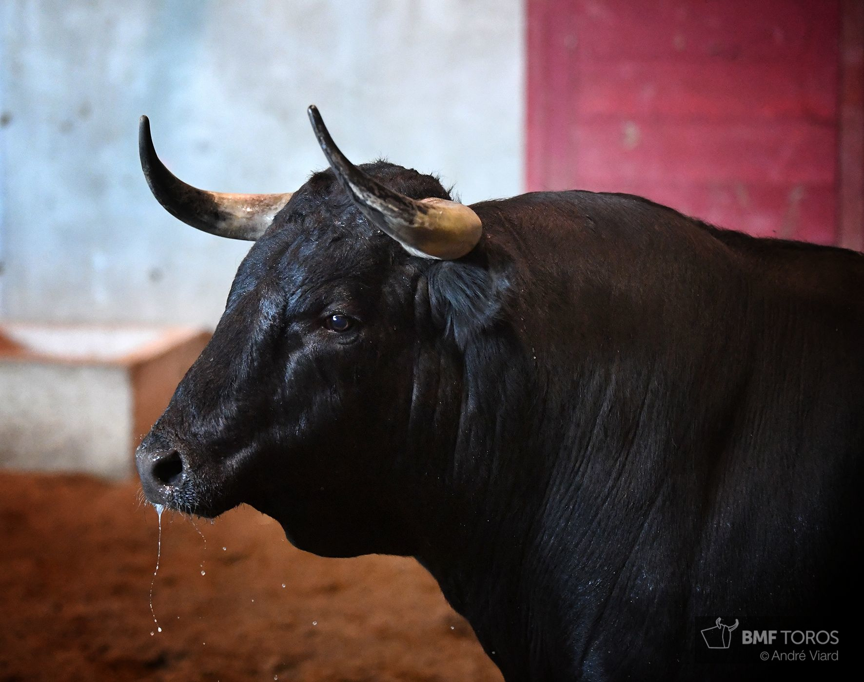 Sorteo. San Sebastián, jueves 15 de agosto de 2019