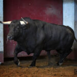 Sorteo. San Sebastián, jueves 15 de agosto de 2019