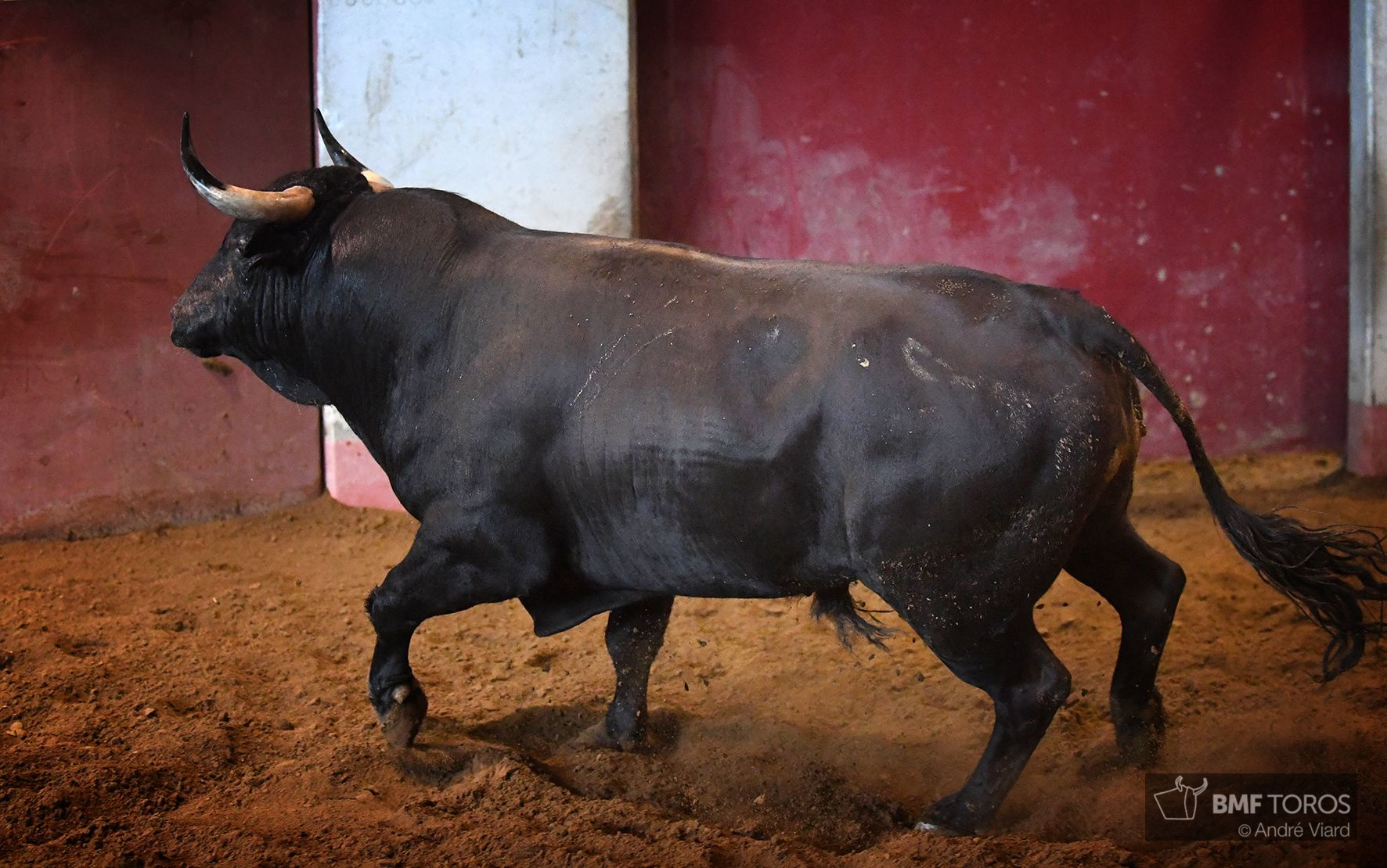 Sorteo. San Sebastián, jueves 15 de agosto de 2019