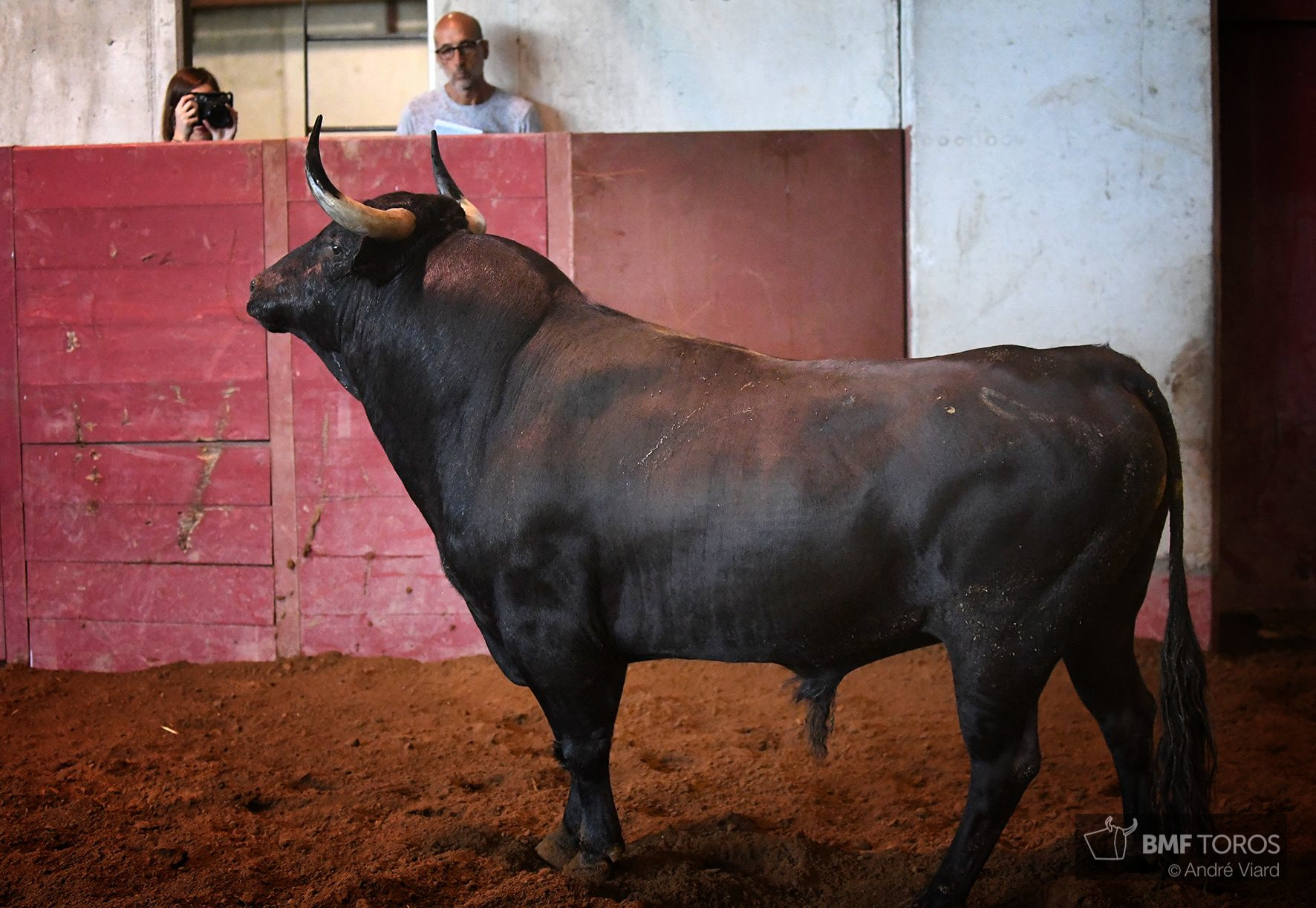Sorteo. San Sebastián, jueves 15 de agosto de 2019
