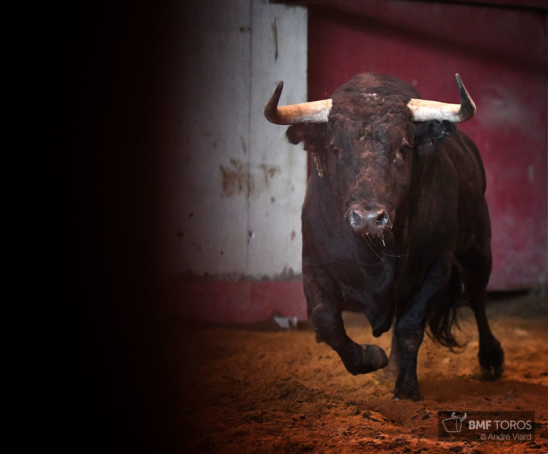 Sorteo. San Sebastián, jueves 15 de agosto de 2019