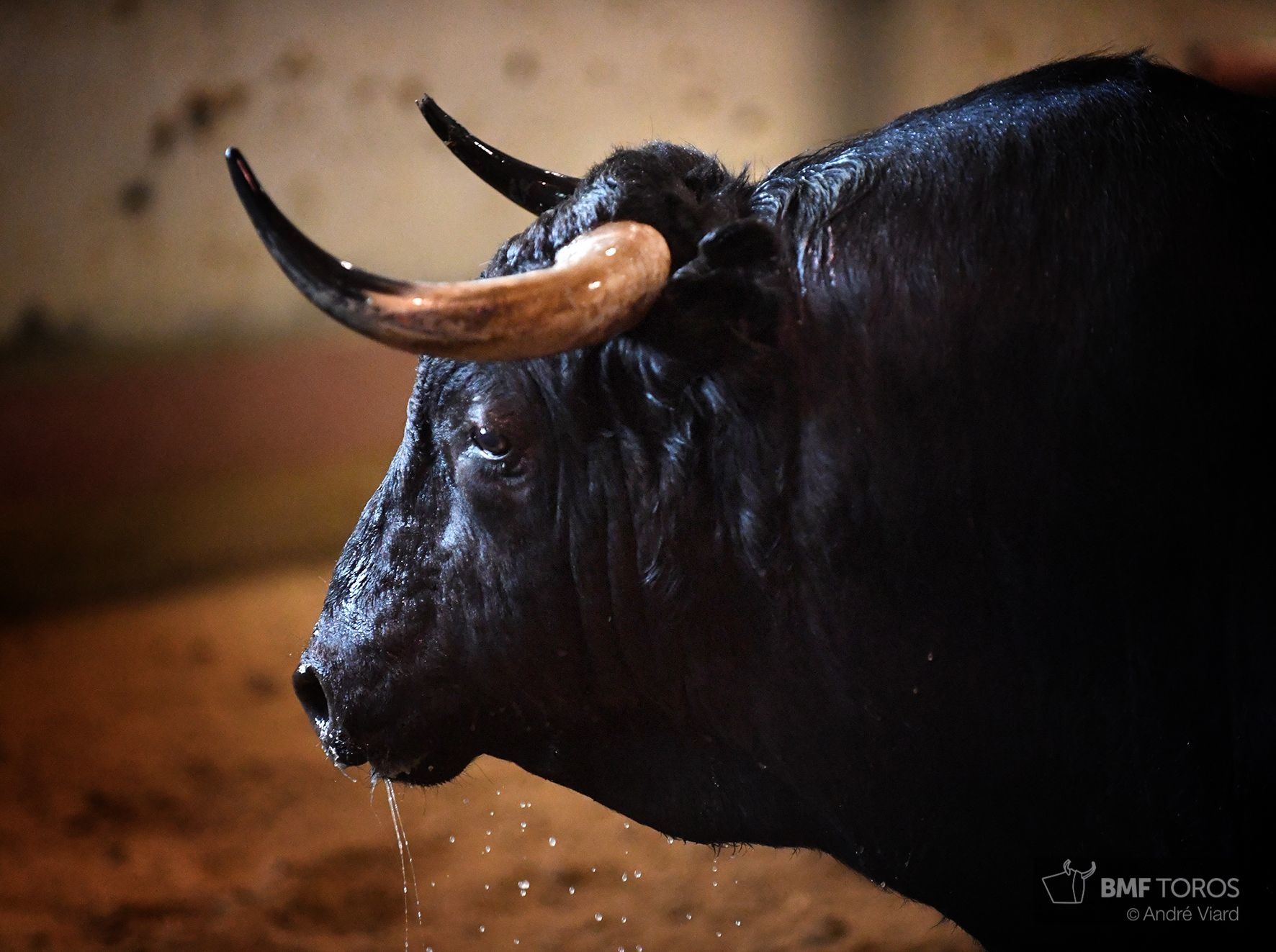 Sorteo. San Sebastián, jueves 15 de agosto de 2019