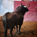 Sorteo. San Sebastián, jueves 15 de agosto de 2019