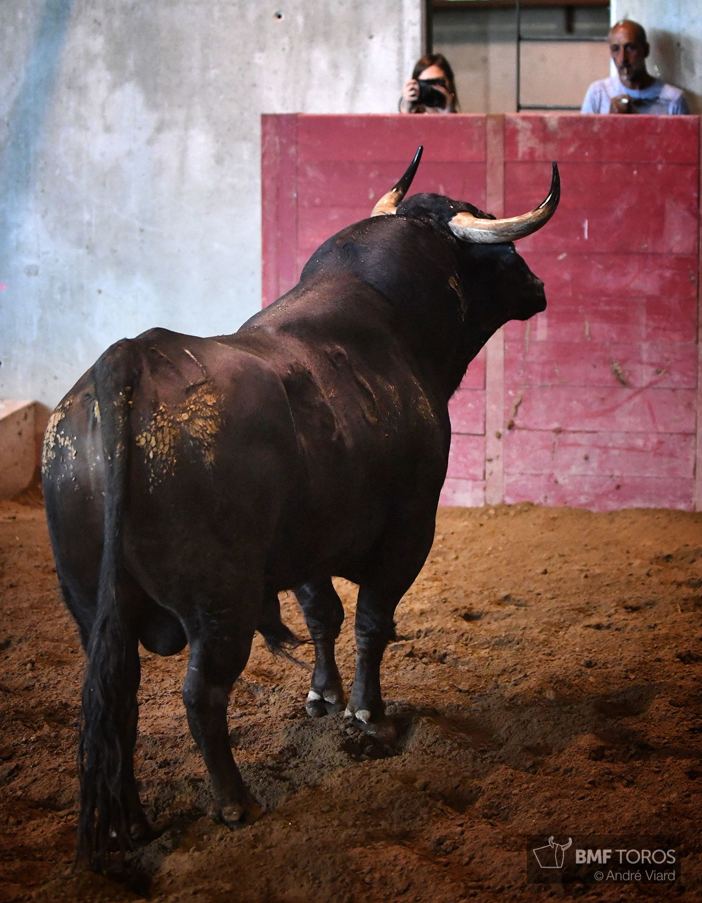 Sorteo. San Sebastián, jueves 15 de agosto de 2019