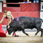 Madrid, domingo 11 de agosto de 2019