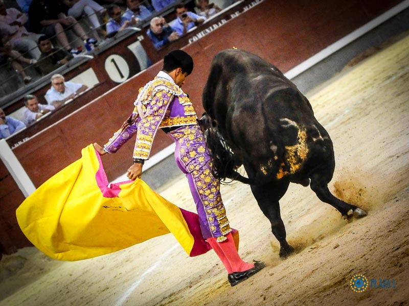 Madrid, domingo 11 de agosto de 2019